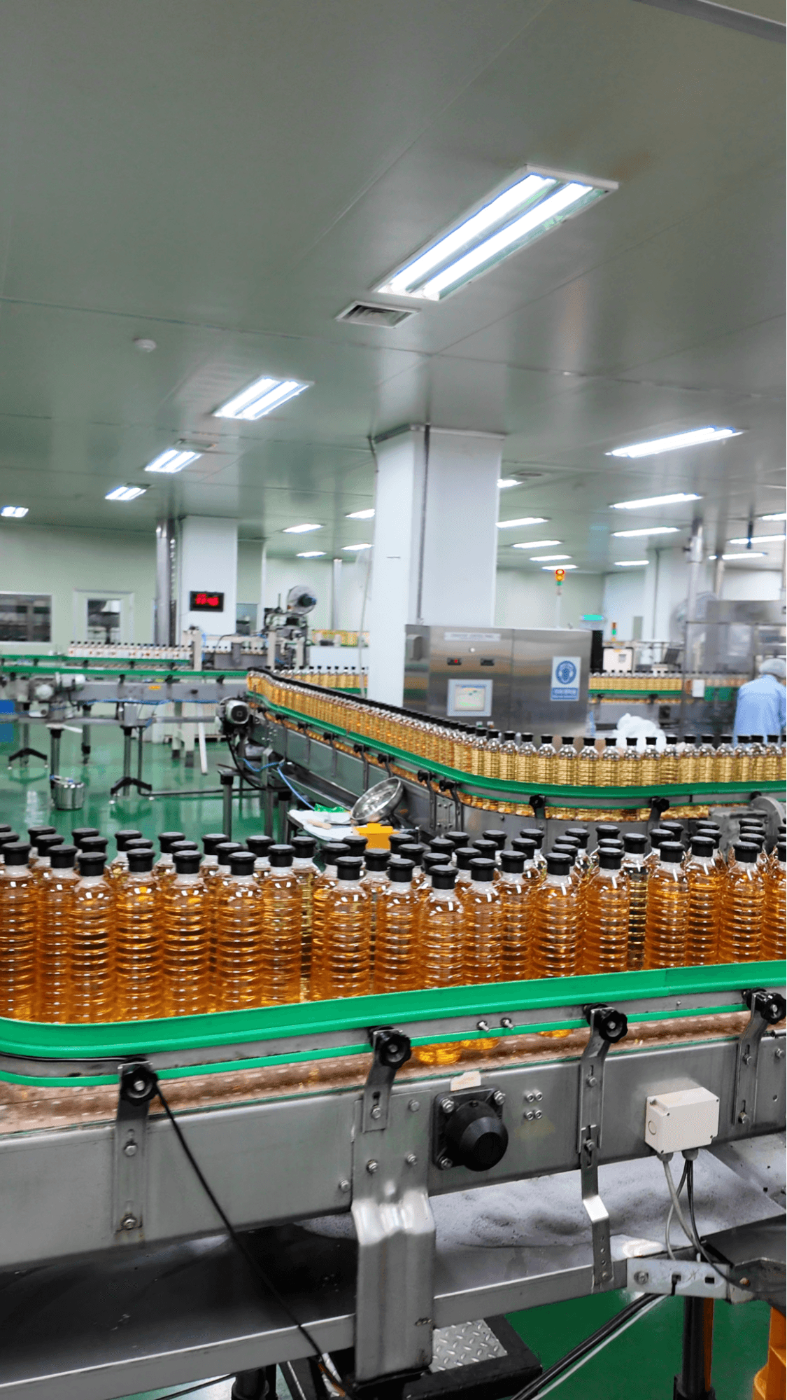 Tuyển đại lý phân phối Hongcho tại Việt Nam – Cơ hội kinh doanh cùng thương hiệu giấm trái cây Hàn Quốc nổi tiếng